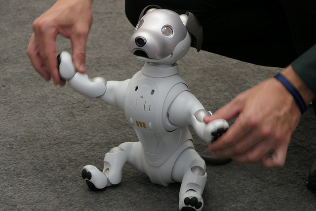 Revocación Obsesión deshonesto Mejor perro robot barato 2022 ❤️ Diciembre