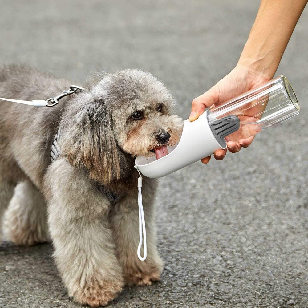 Mejor botella de agua para perros